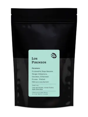 Los Pirineos Pacamara